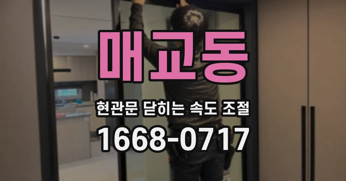 매교동 현관문 닫히는 속도 조절
