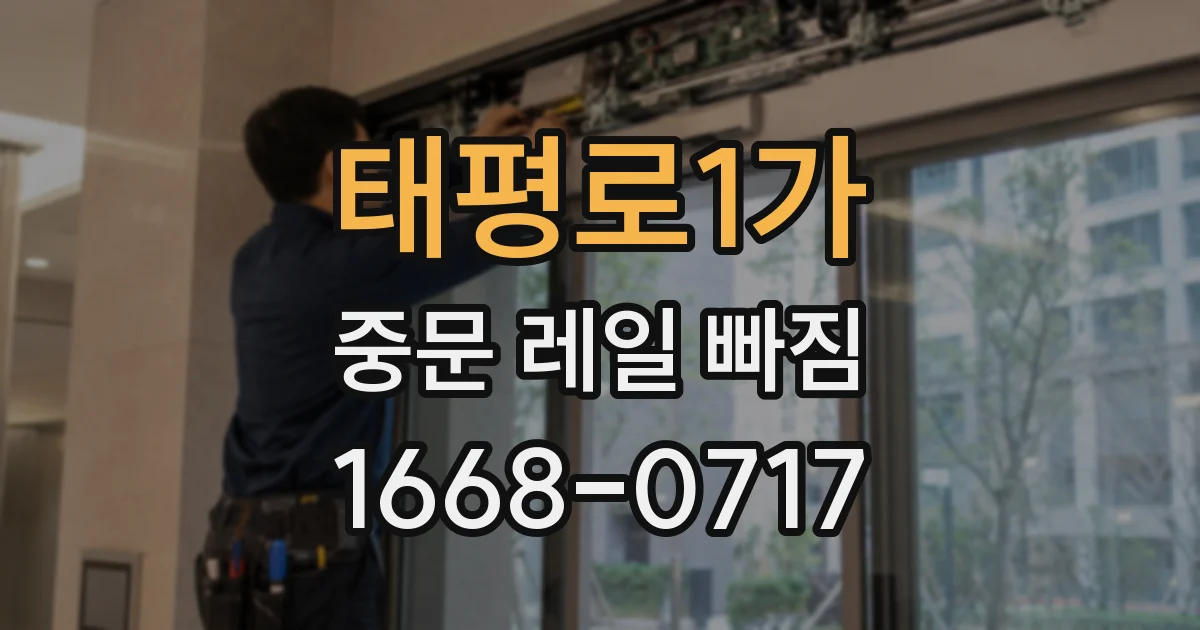 태평로1가 중문 레일 빠짐