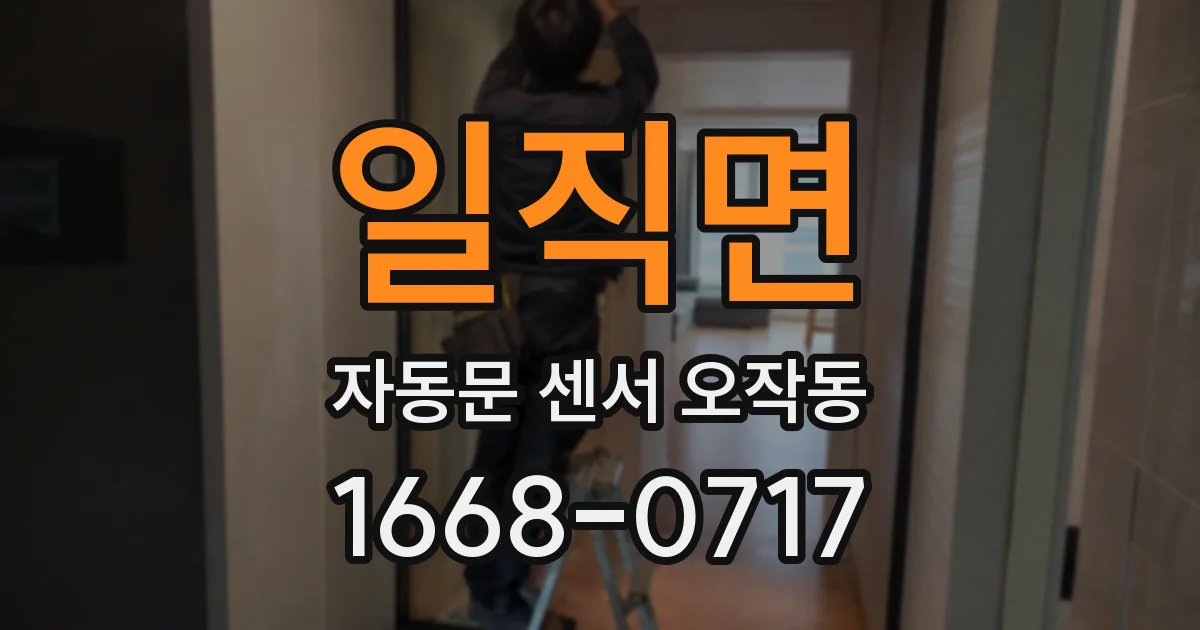 일직면 자동문 센서 오작동