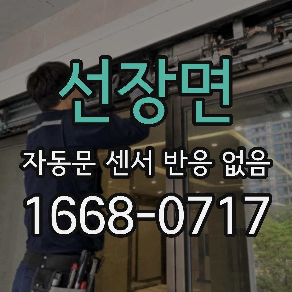 선장면 자동문 센서 반응 없음