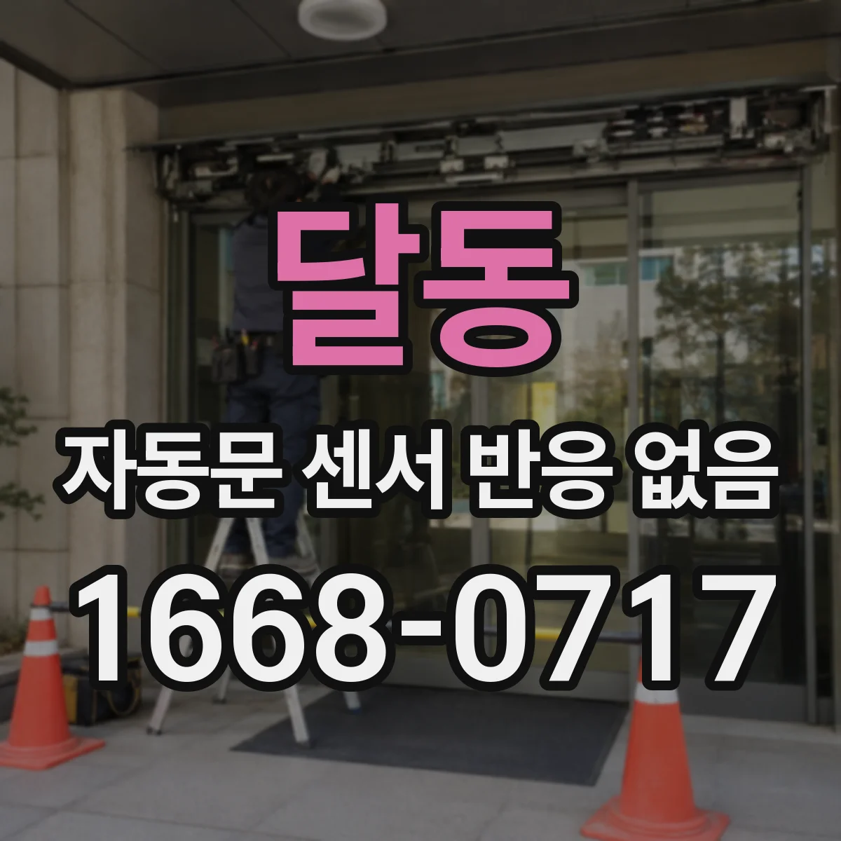 달동 자동문 센서 반응 없음