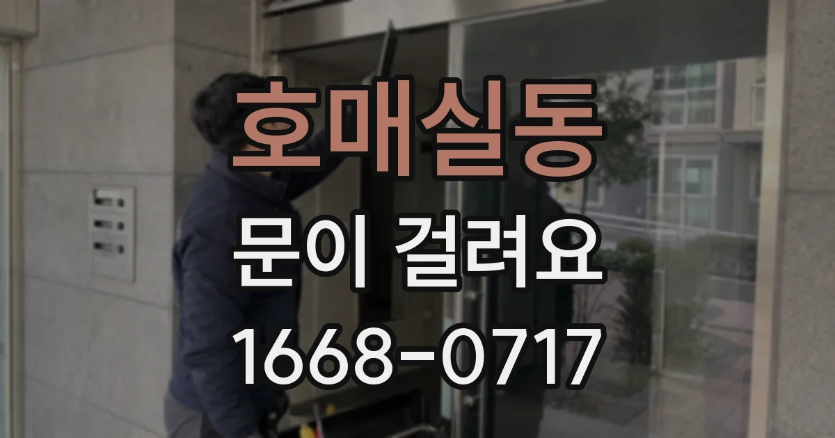 호매실동 문이 걸려요