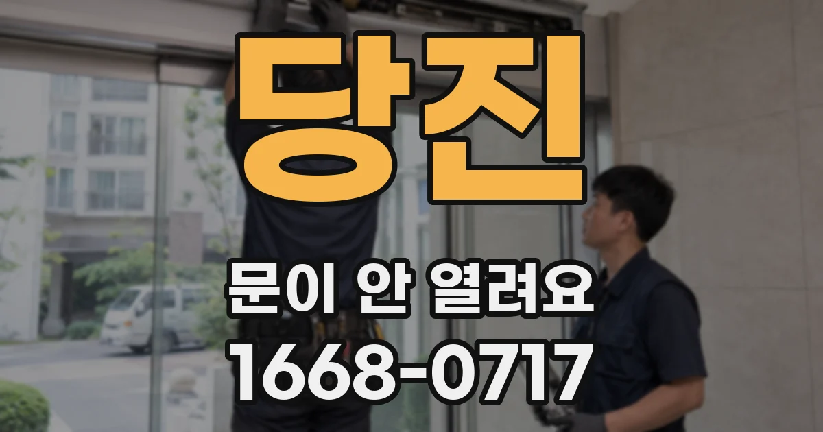당진 문이 안 열려요