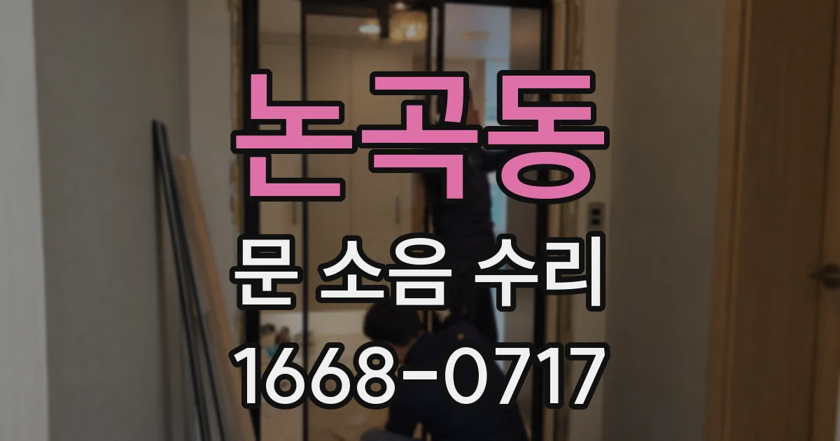 논곡동 문 소음 수리