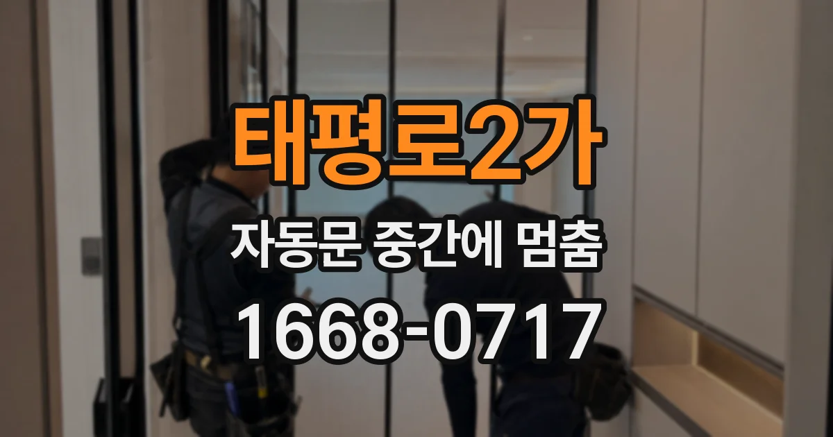 태평로2가 자동문 중간에 멈춤