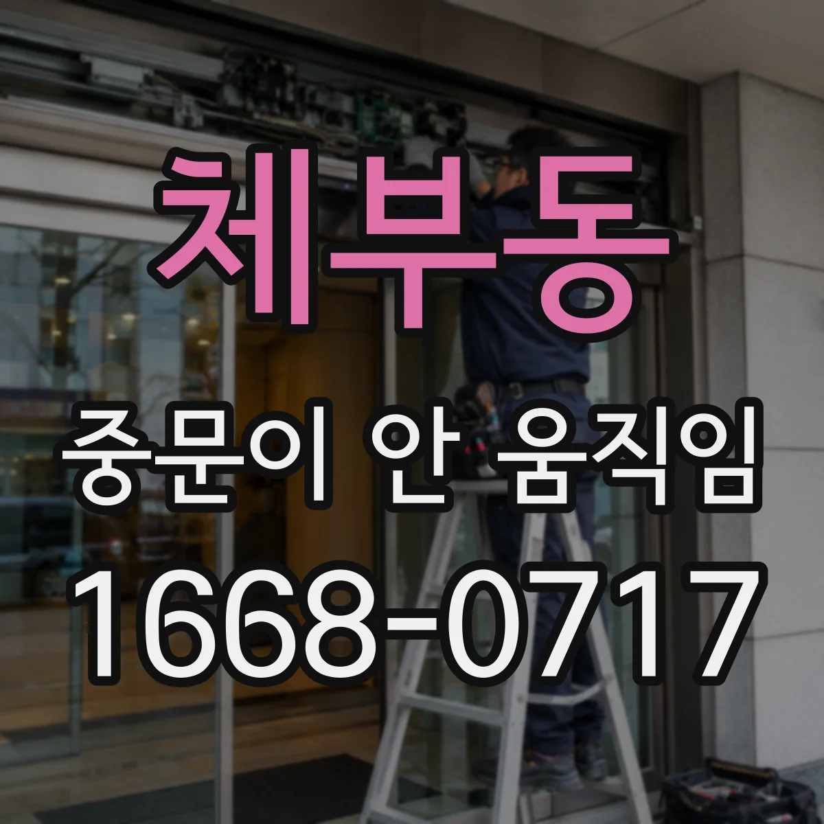 체부동 중문이 안 움직임