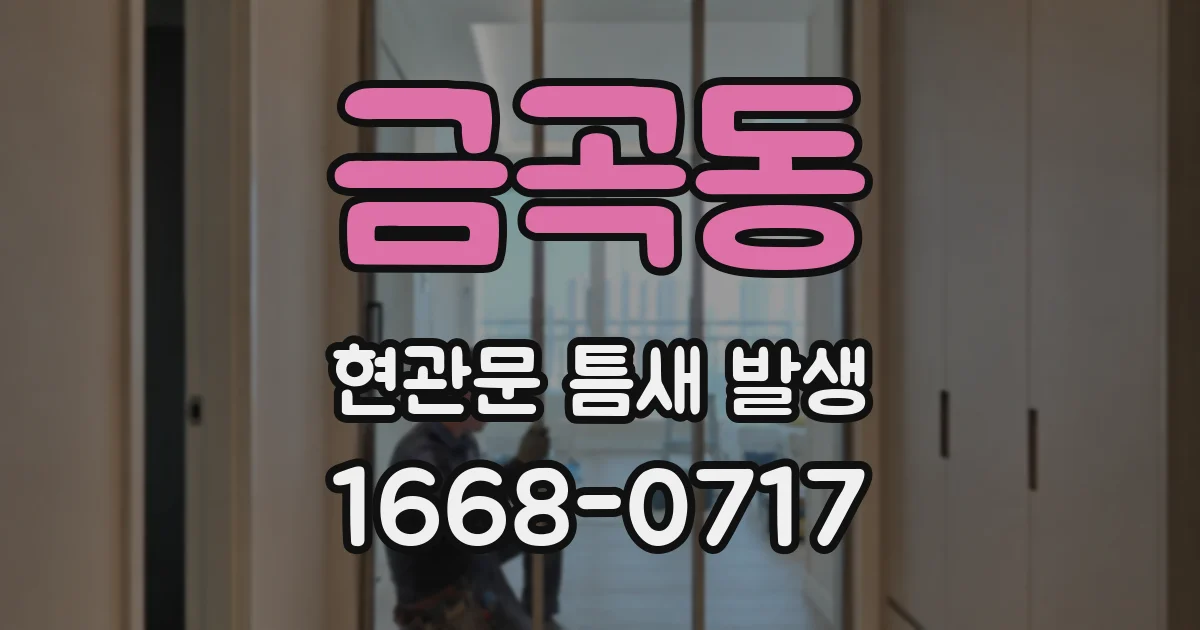 금곡동 현관문 틈새 발생