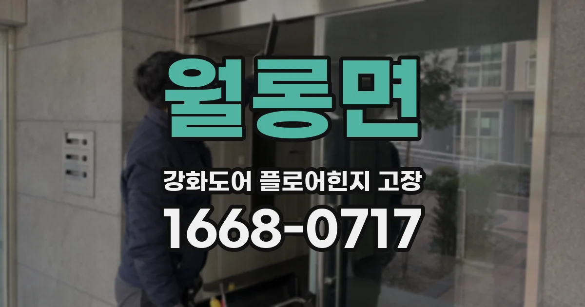 월롱면 강화도어 플로어힌지 고장