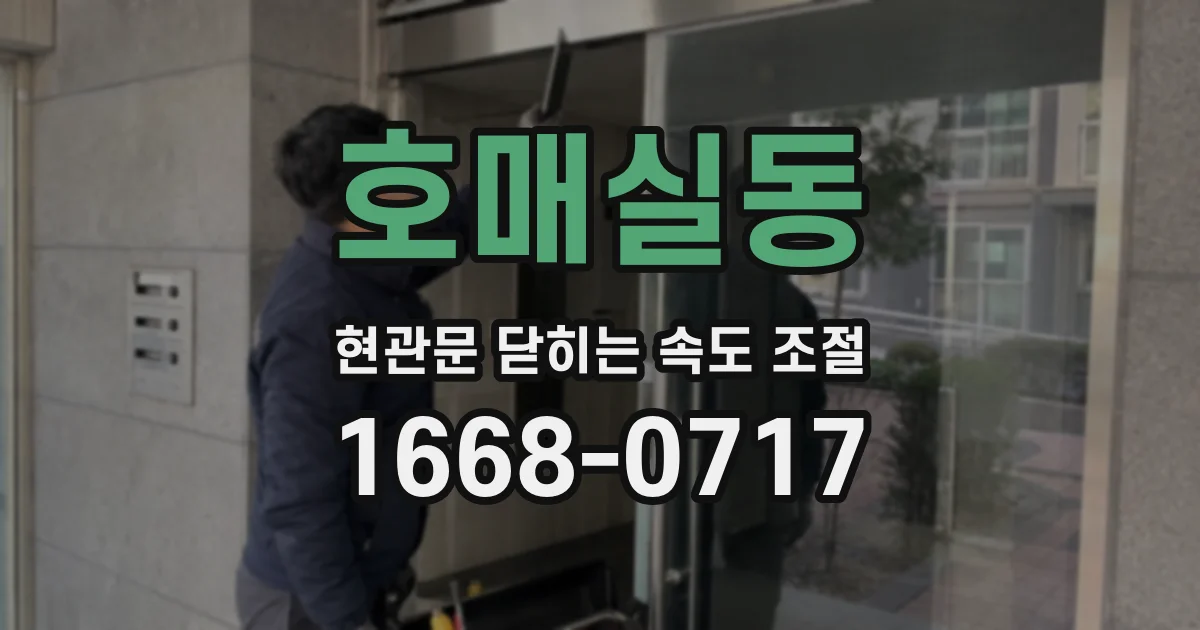 호매실동 현관문 닫히는 속도 조절