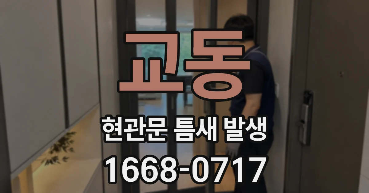 교동 현관문 틈새 발생