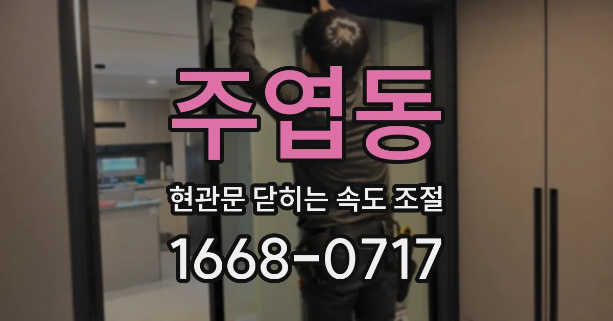 주엽동 현관문 닫히는 속도 조절