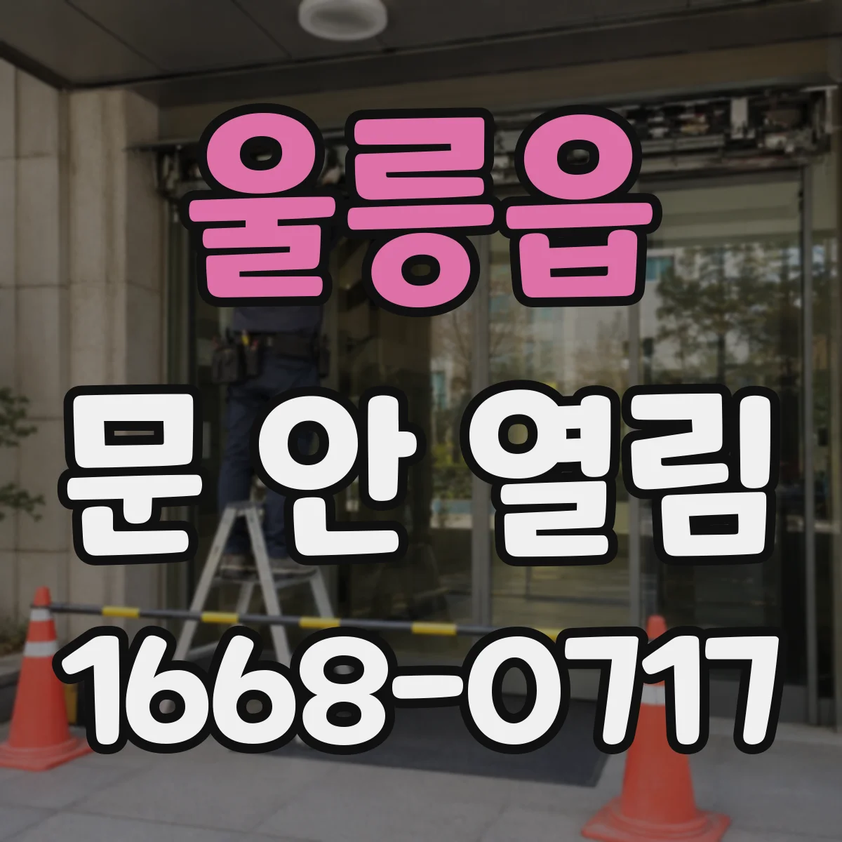 울릉읍 문 안 열림