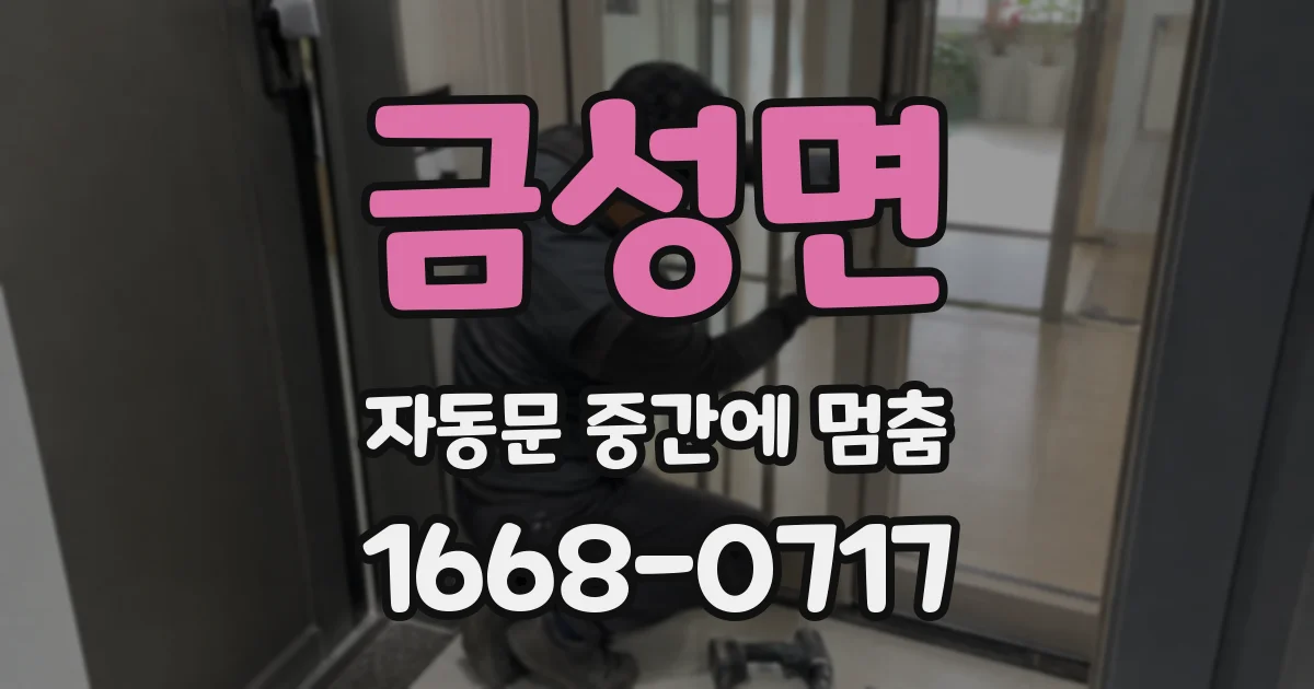 금성면 자동문 중간에 멈춤