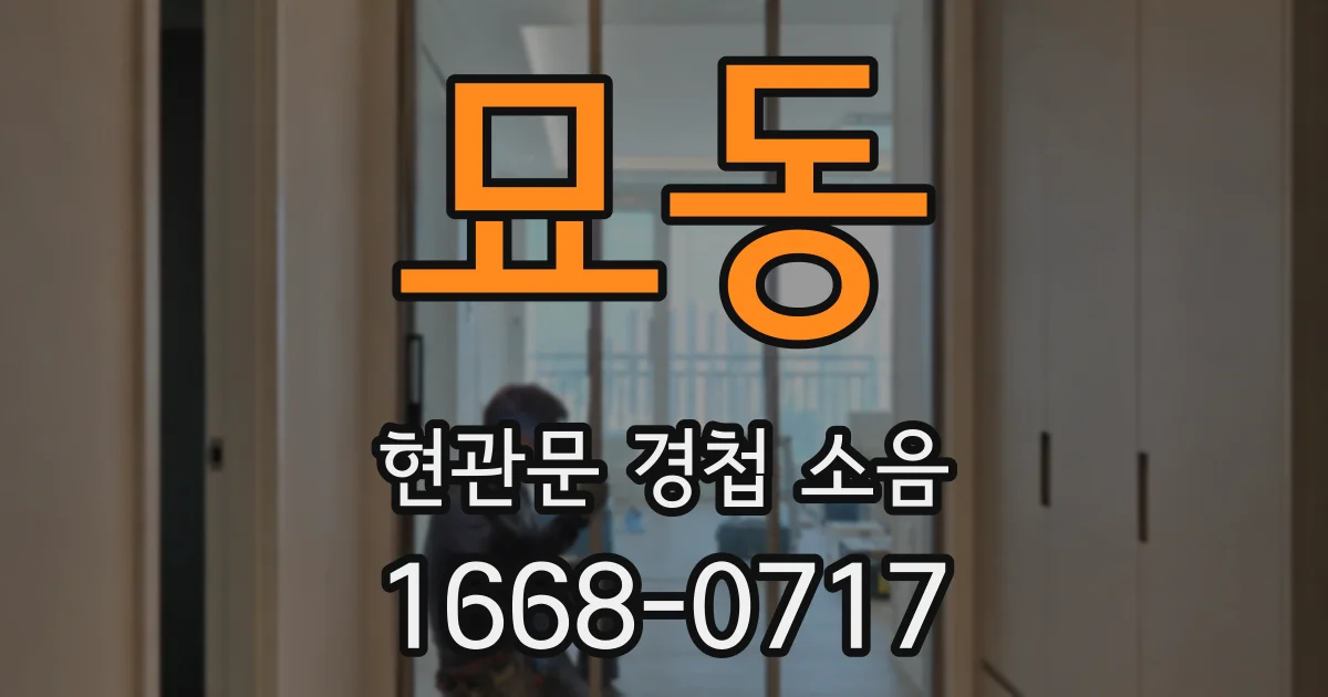 묘동 현관문 경첩 소음