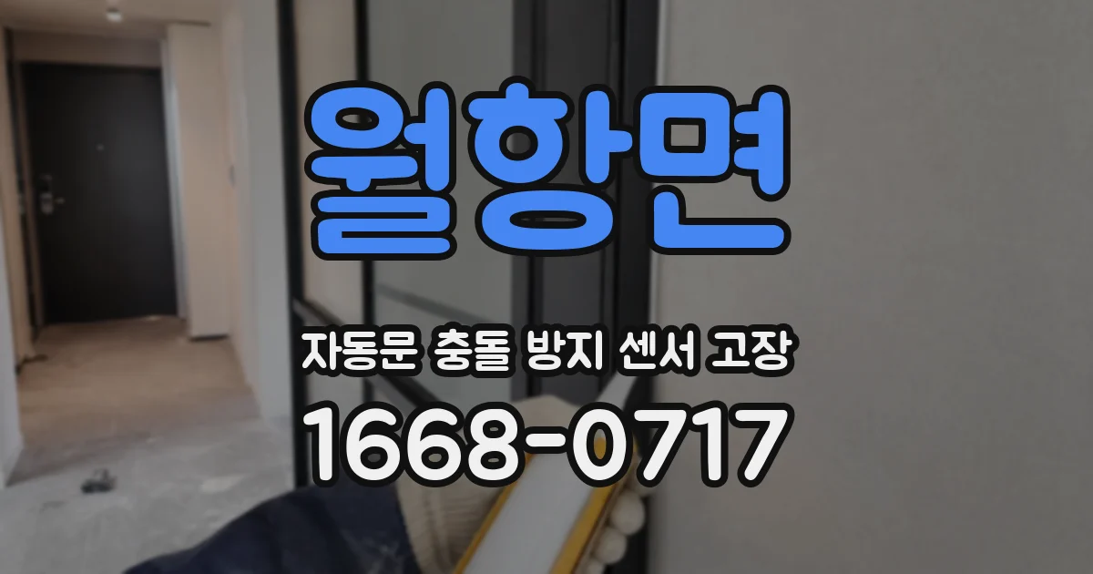 월항면 자동문 충돌 방지 센서 고장