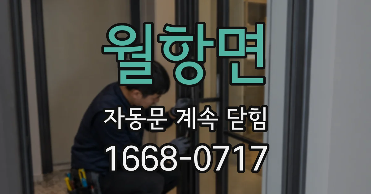 월항면 자동문 계속 닫힘