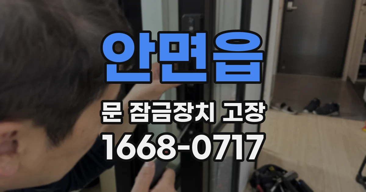안면읍 문 잠금장치 고장