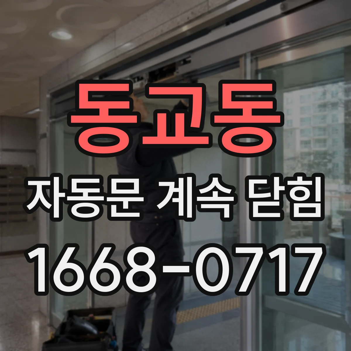 동교동 자동문 계속 닫힘
