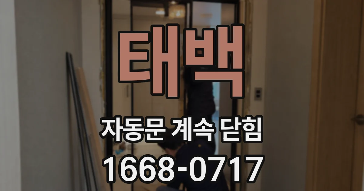 태백 자동문 계속 닫힘