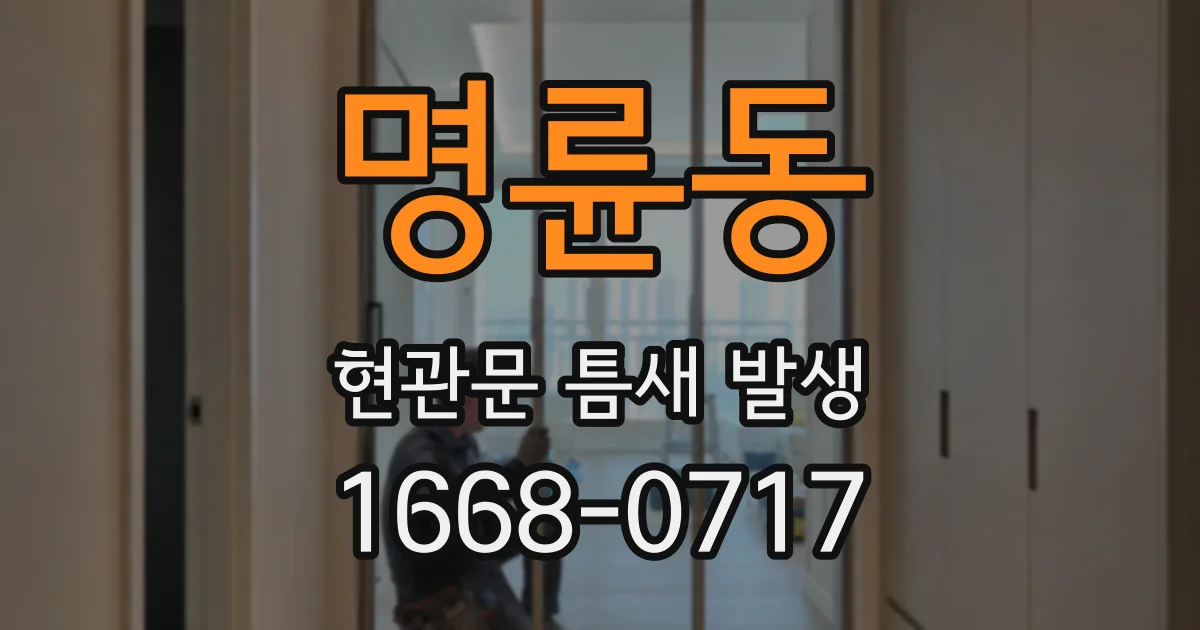 명륜동 현관문 틈새 발생