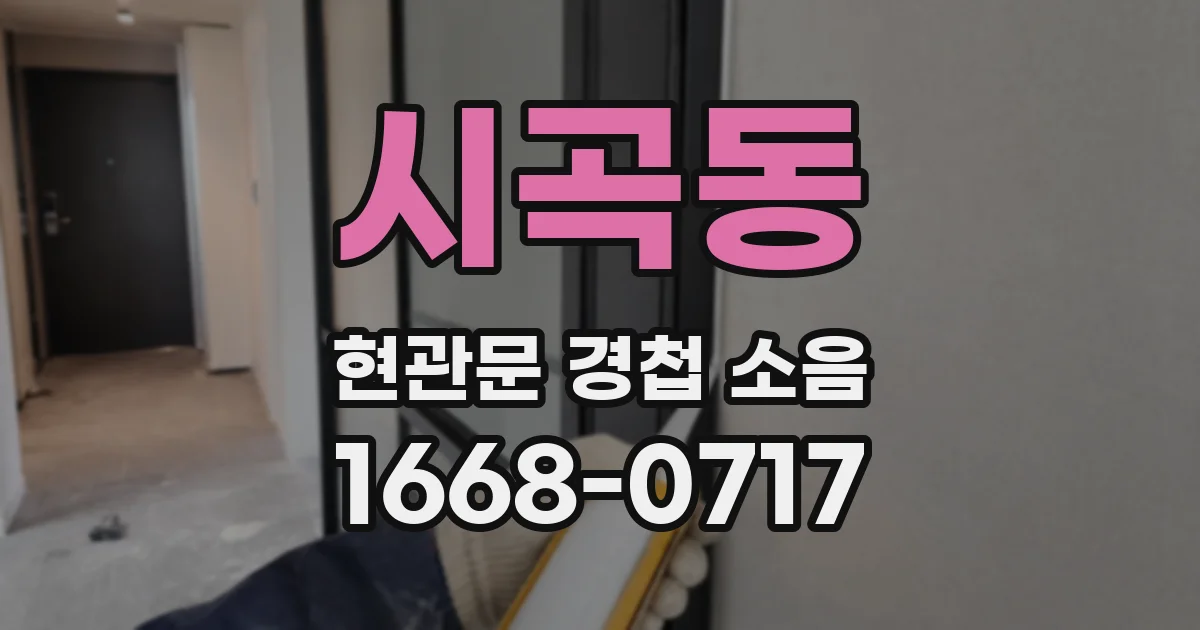 시곡동 현관문 경첩 소음