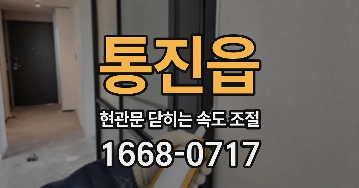 통진읍 현관문 닫히는 속도 조절