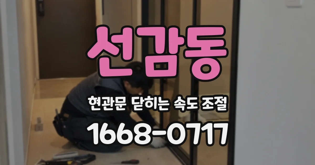 선감동 현관문 닫히는 속도 조절