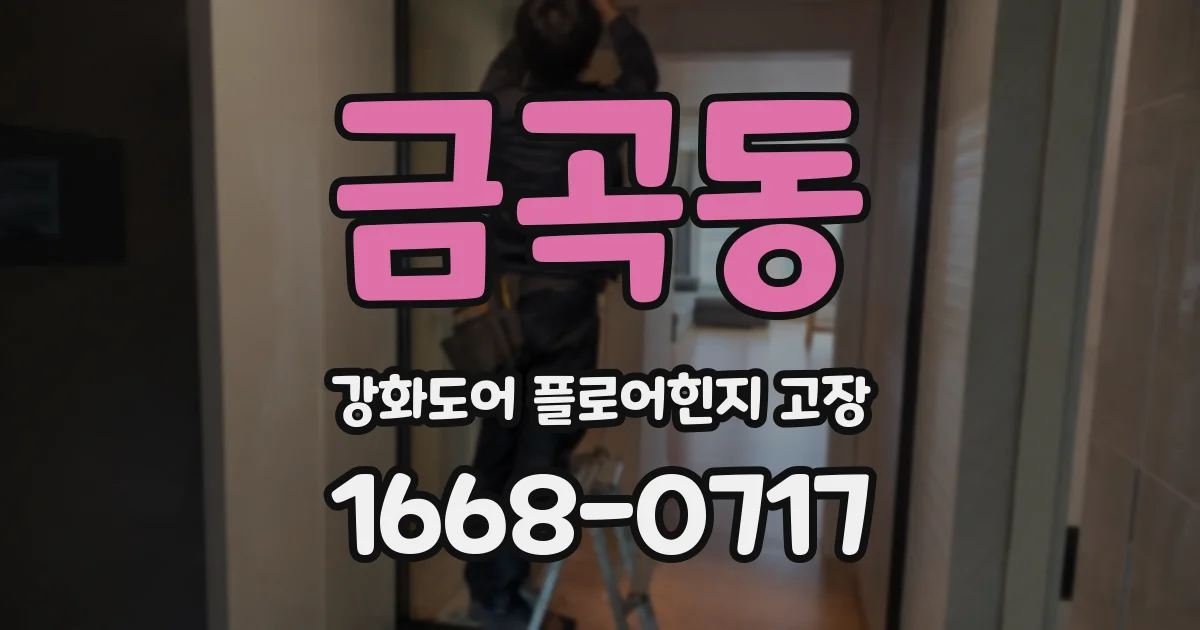 금곡동 강화도어 플로어힌지 고장
