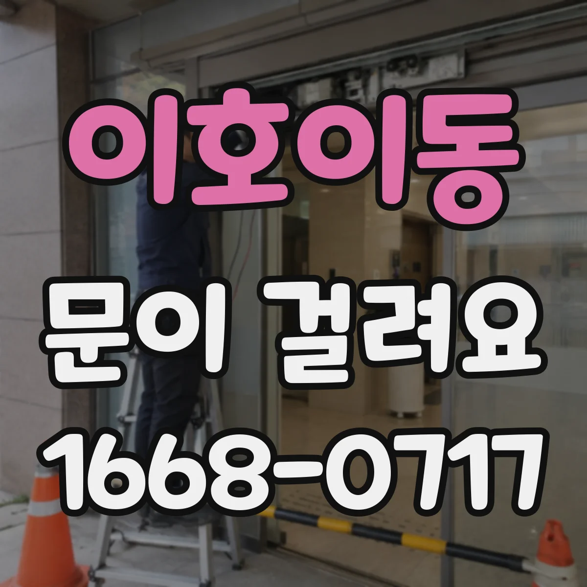 이호이동 문이 걸려요