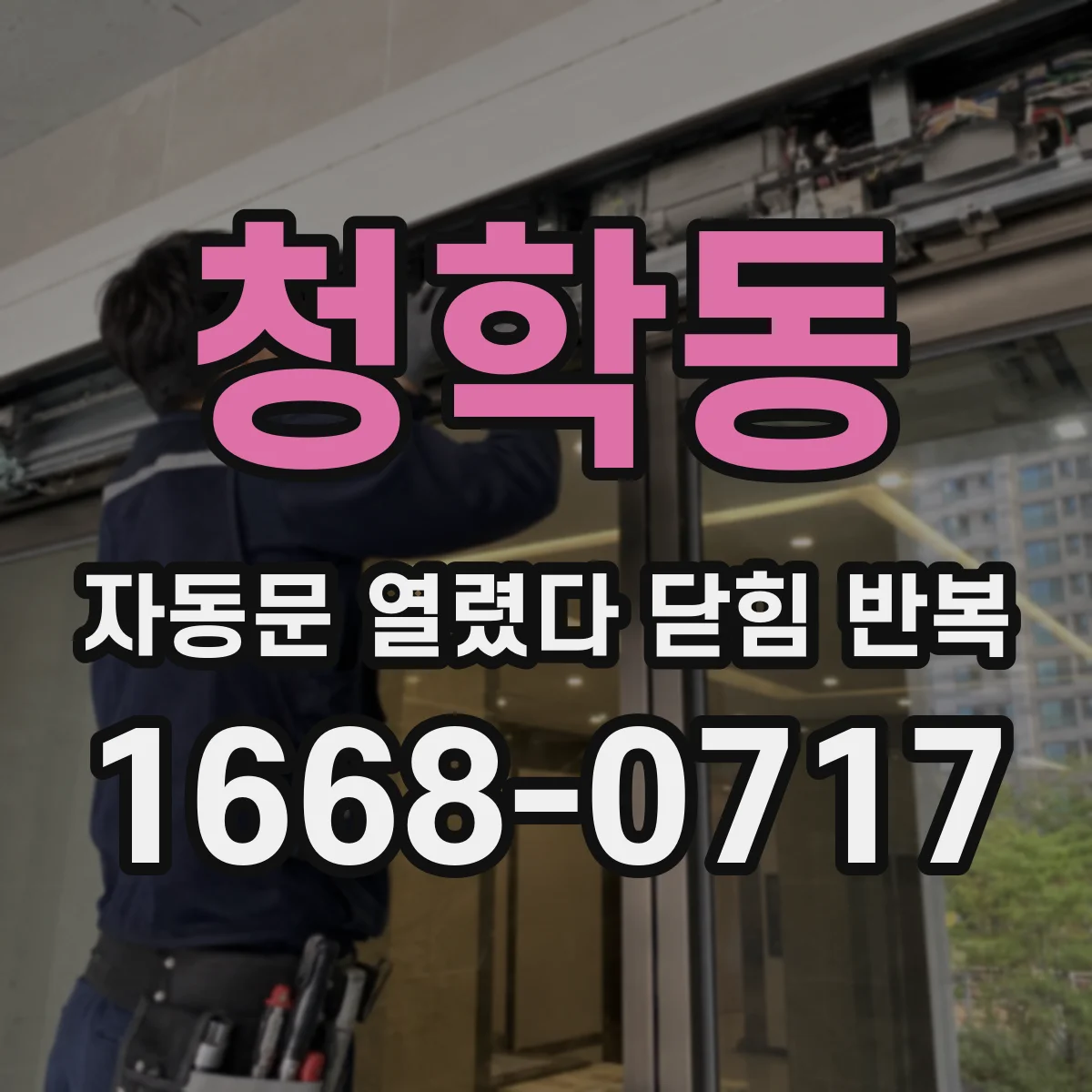 청학동 자동문 열렸다 닫힘 반복