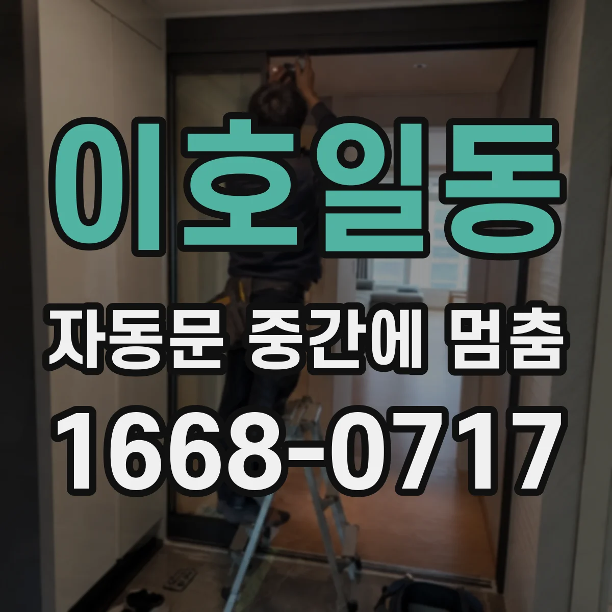 이호일동 자동문 중간에 멈춤