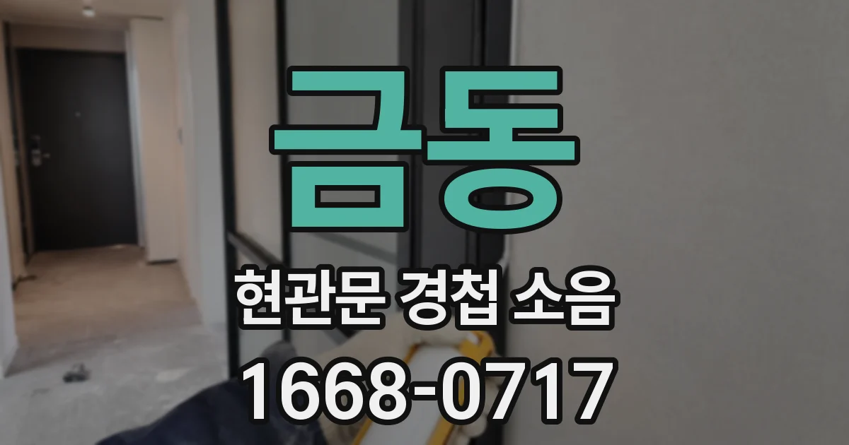 금동 현관문 경첩 소음