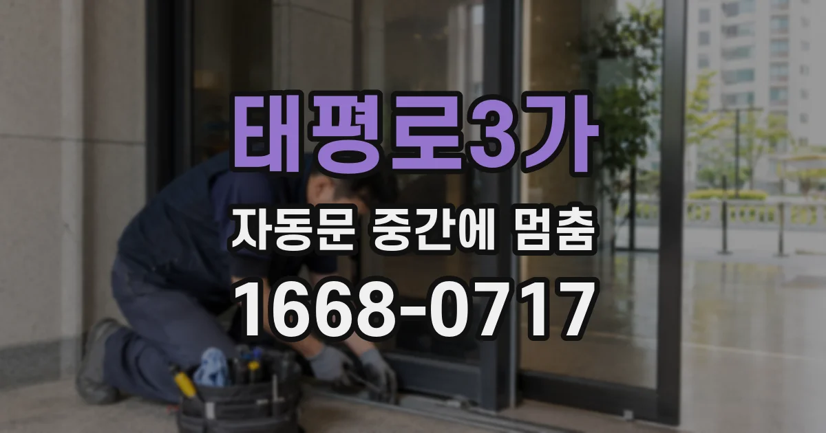 태평로3가 자동문 중간에 멈춤