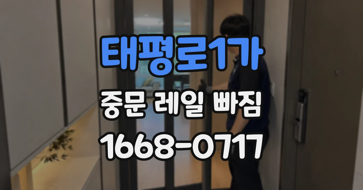 태평로1가 중문 레일 빠짐