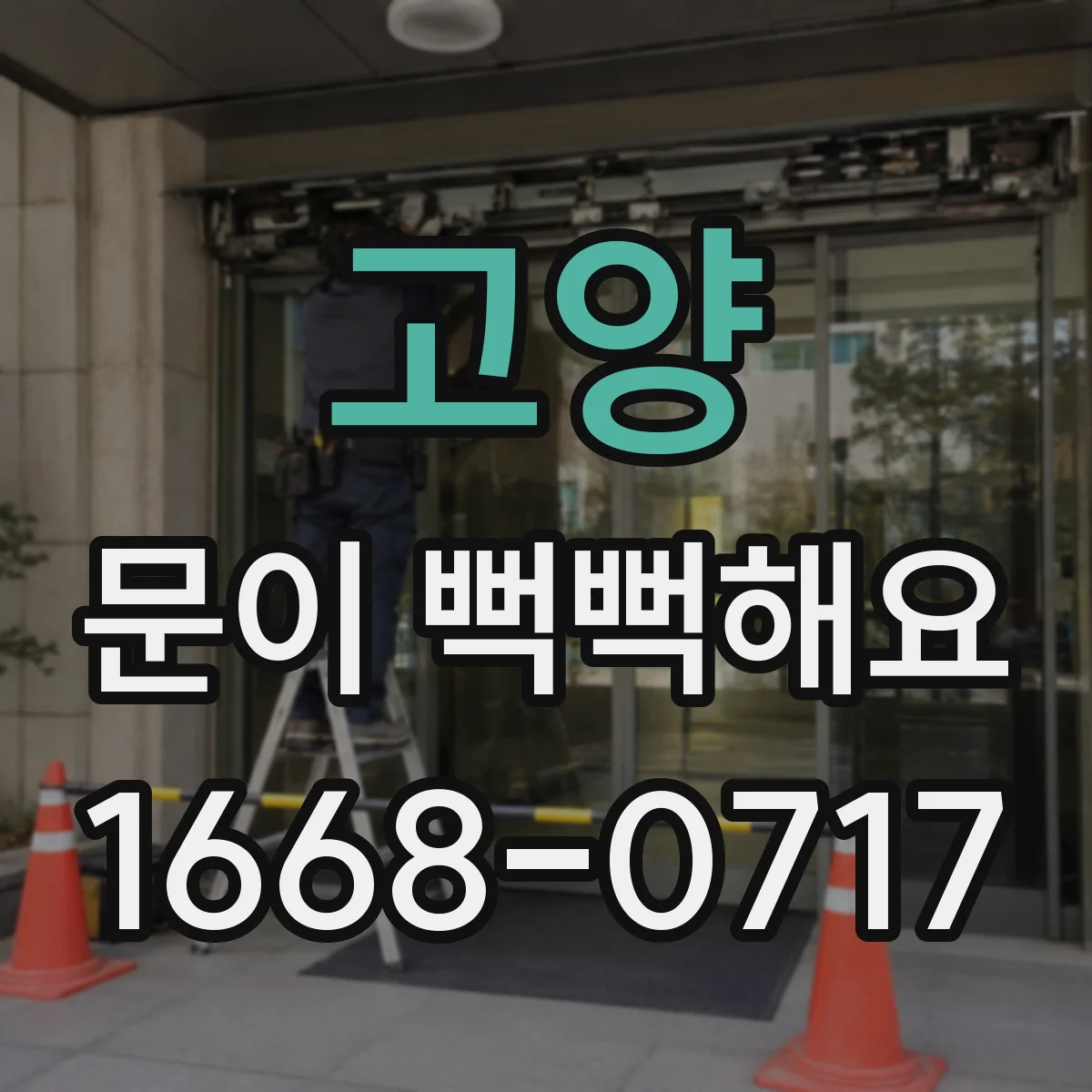고양 문이 뻑뻑해요
