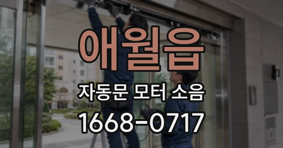 애월읍 자동문 모터 소음