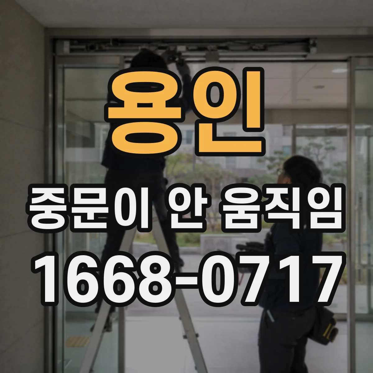 용인 중문이 안 움직임