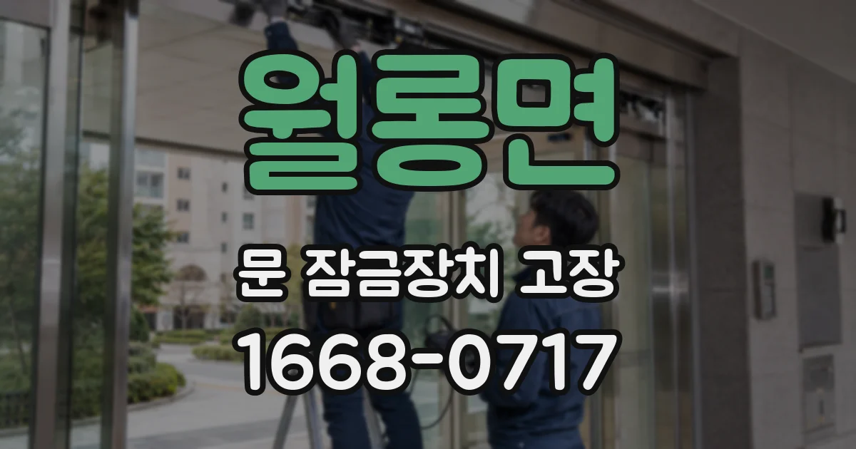 월롱면 문 잠금장치 고장