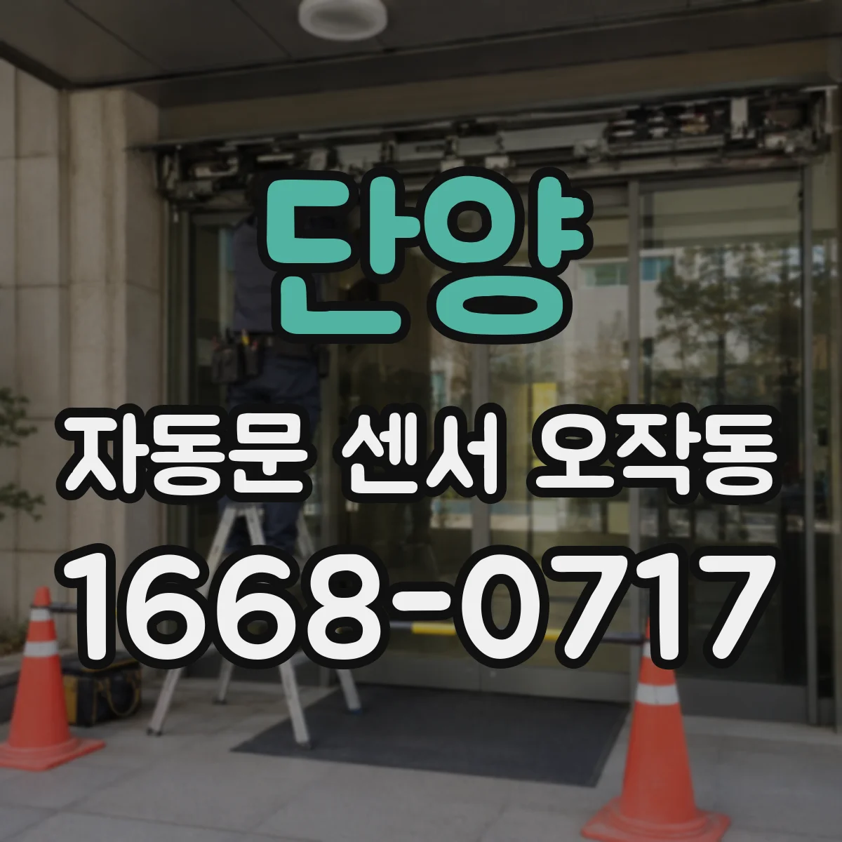 단양 자동문 센서 오작동 반복 원인으로 보는 주변 장애물 영향