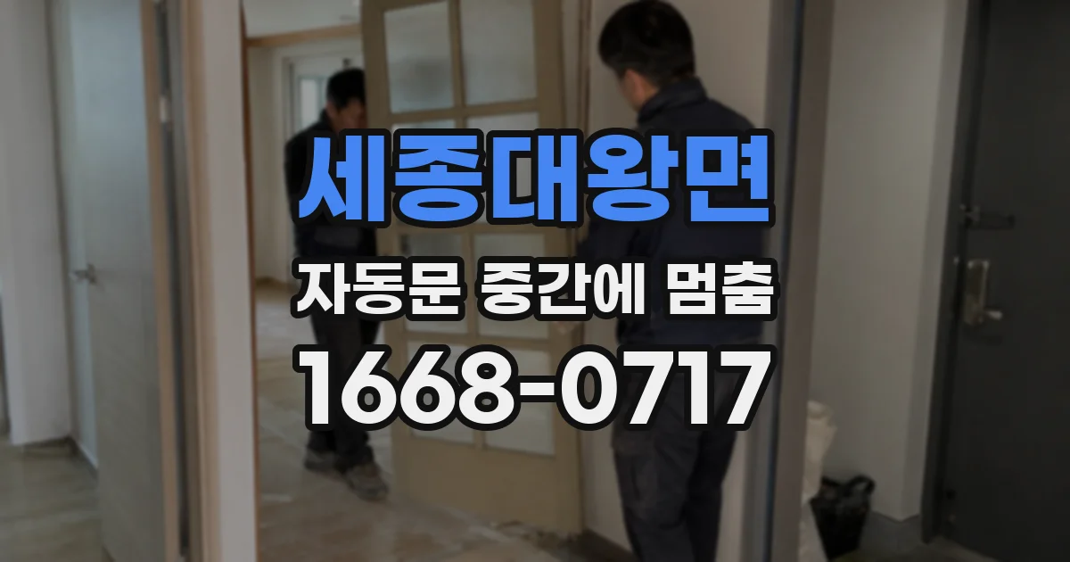 세종대왕면 자동문 중간에 멈춤