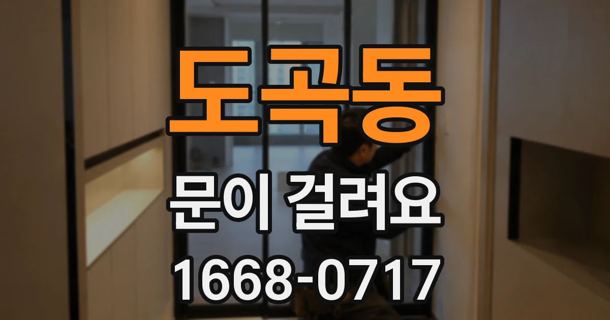 도곡동 문이 걸려요
