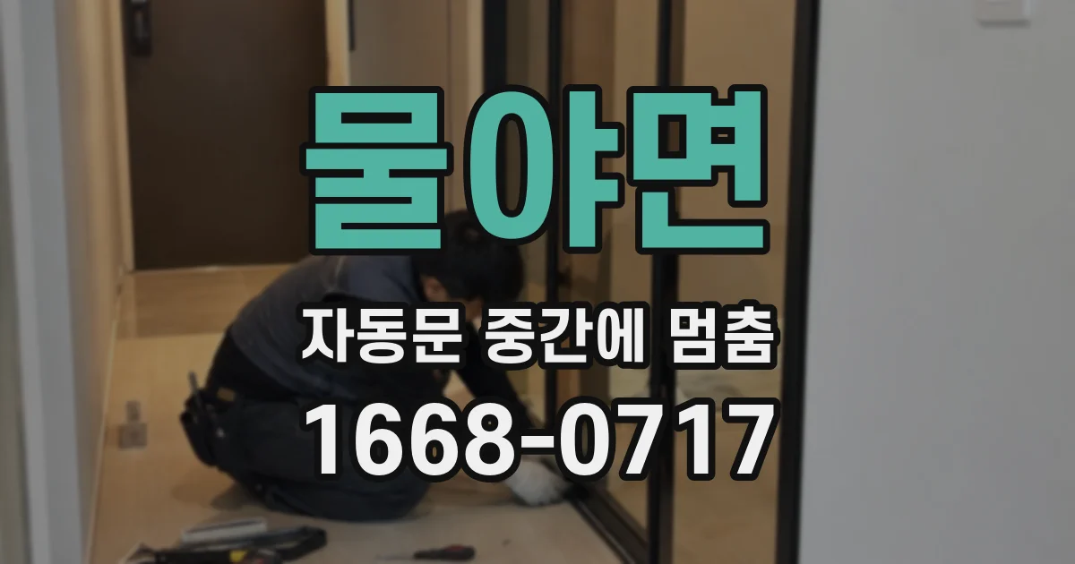 물야면 자동문 중간에 멈춤