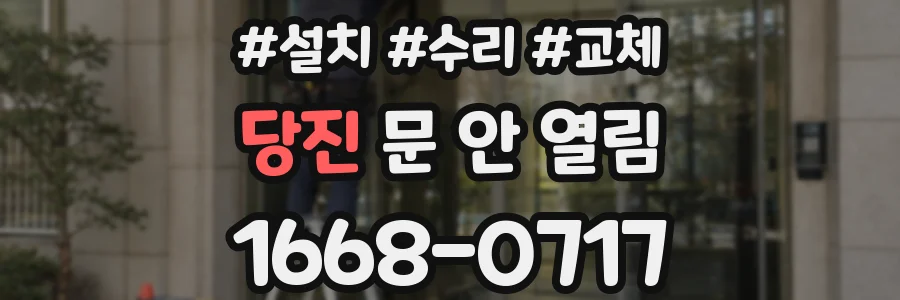 당진 문 안 열림
