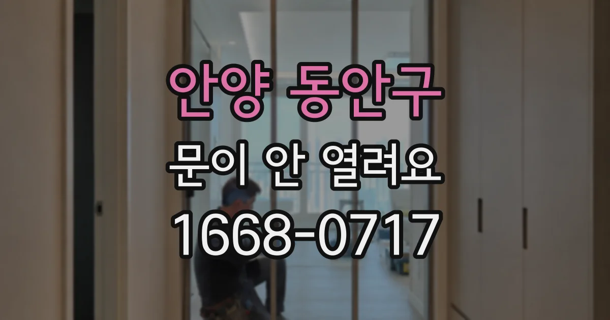 안양 동안구 문이 안 열려요