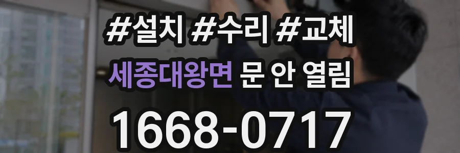 세종대왕면 문 안 열림