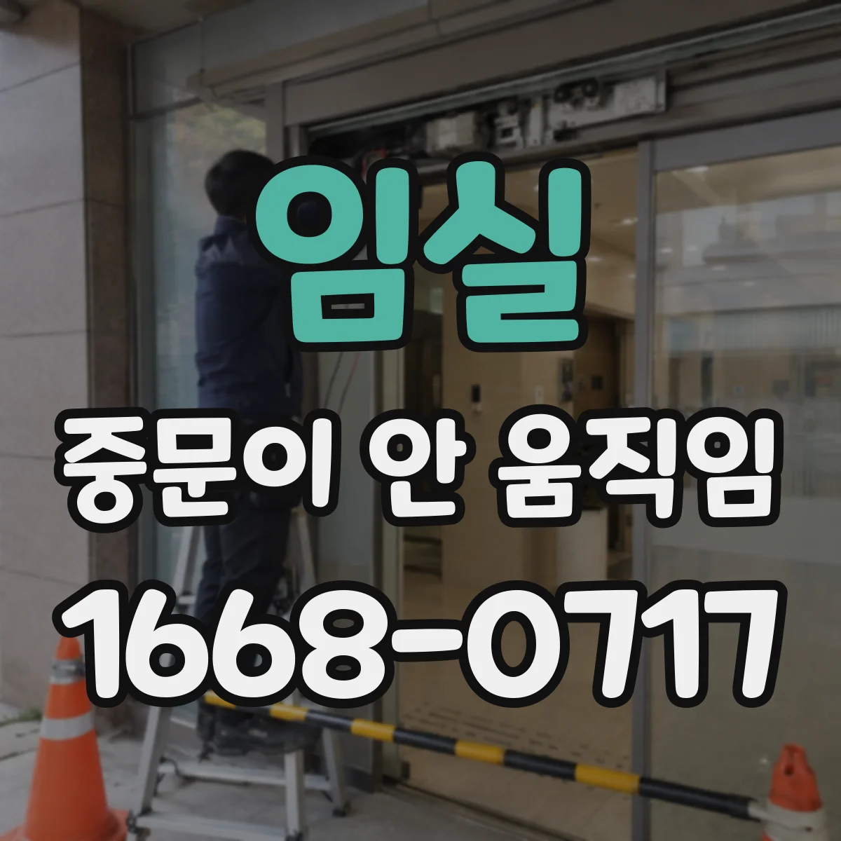 임실 중문이 안 움직임