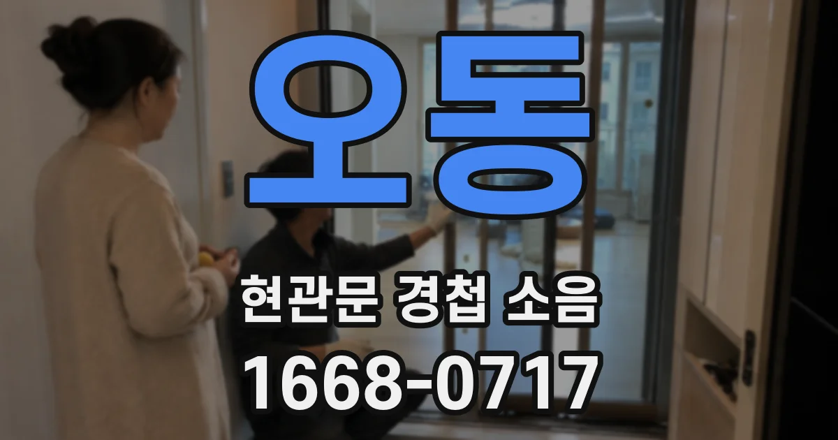 오동 현관문 경첩 소음