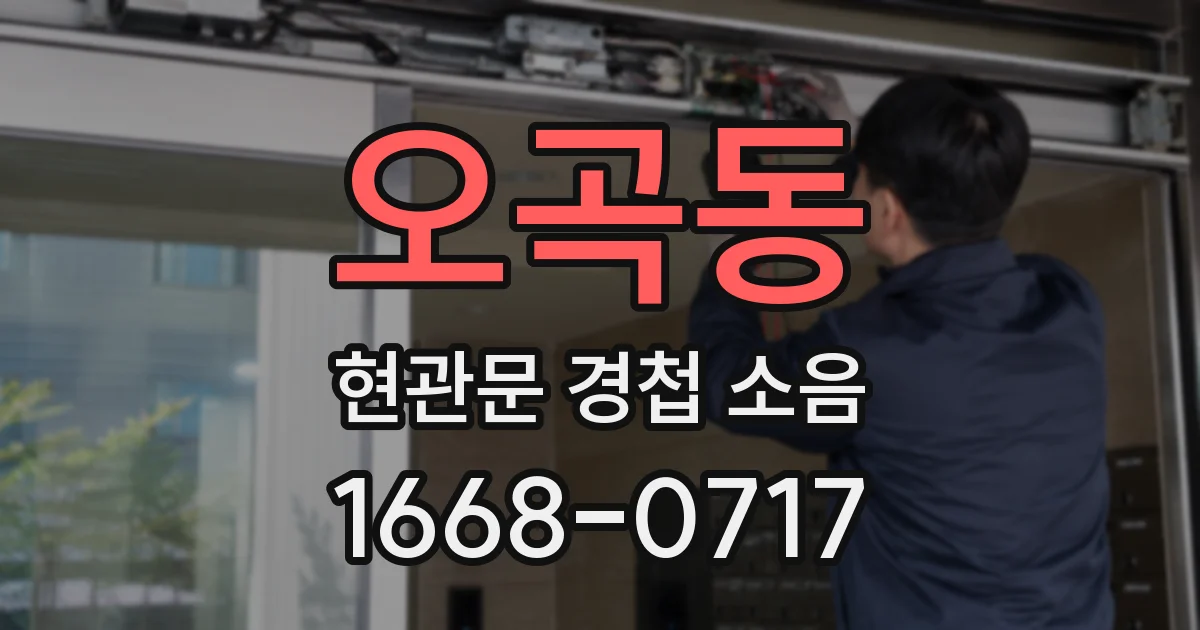 오곡동 현관문 경첩 소음