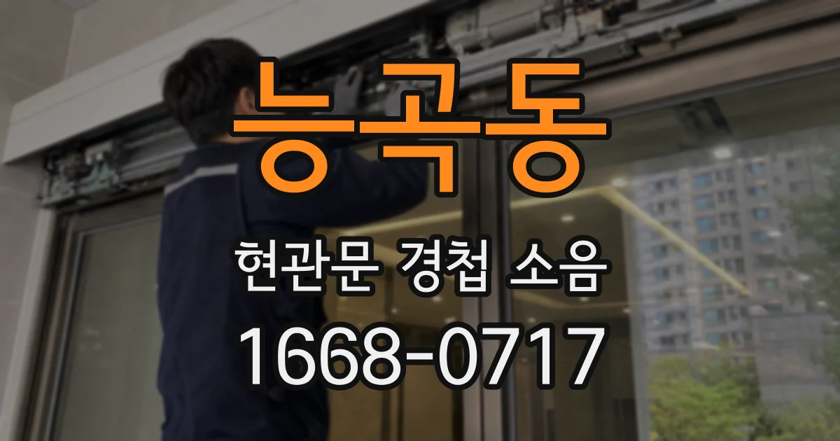 능곡동 현관문 경첩 소음