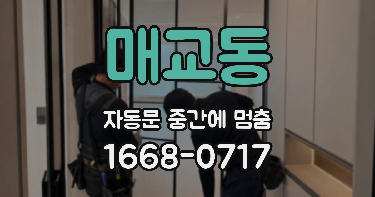 매교동 자동문 중간에 멈춤